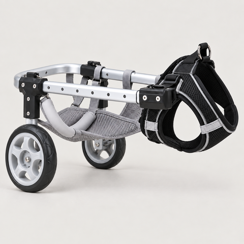 Rove Small Dog Wheelchair, two-wheel version, on a light studio background