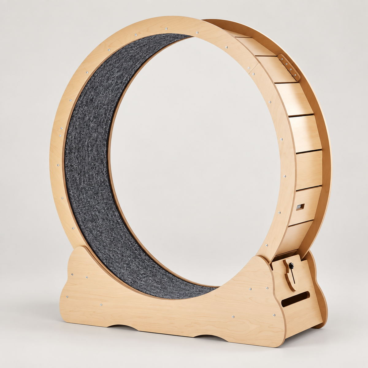 Orbit Cat Exercise Wheel on a light studio background